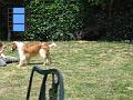 2010-06-26 13 M